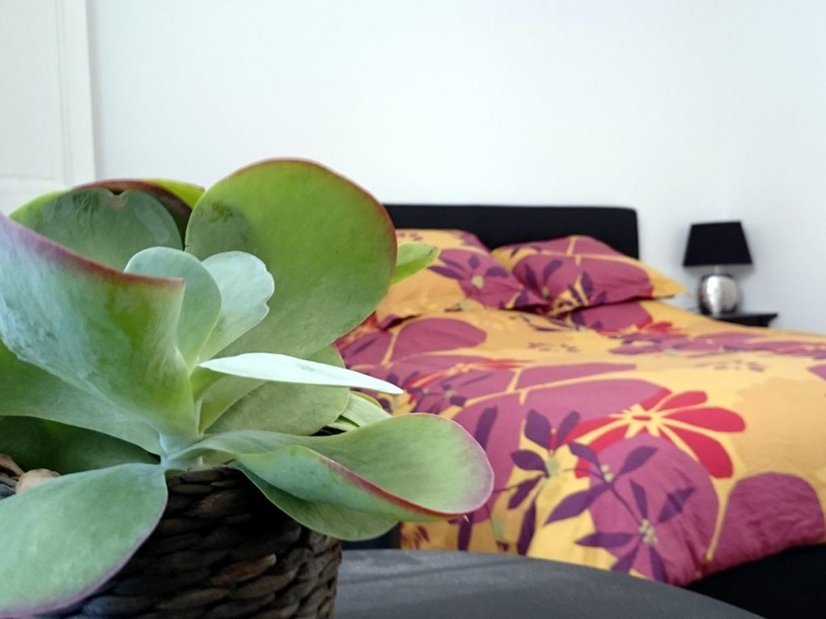 Le Clos Chez Michel Montpellier Eksteriør billede