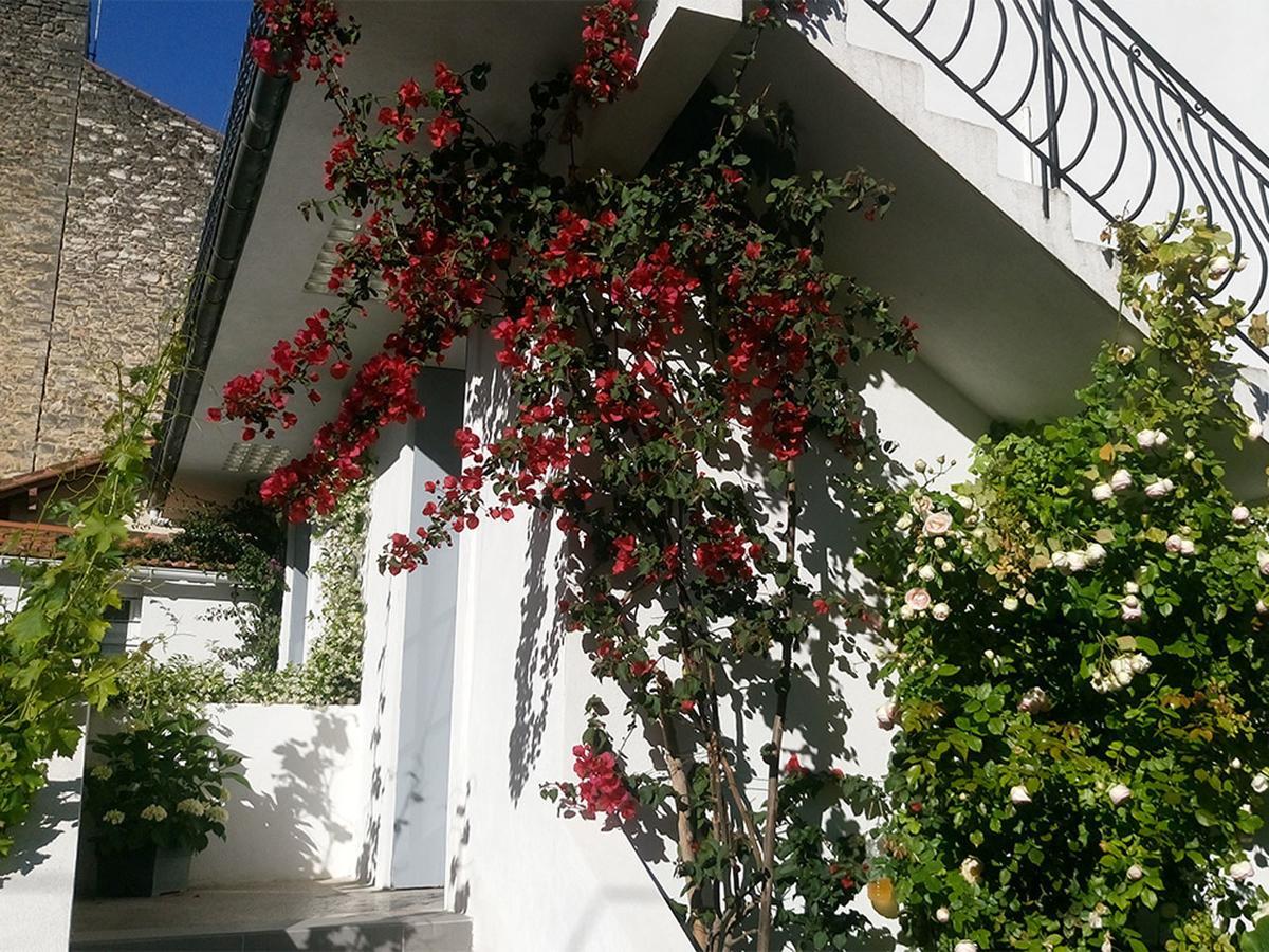 Le Clos Chez Michel Montpellier Eksteriør billede